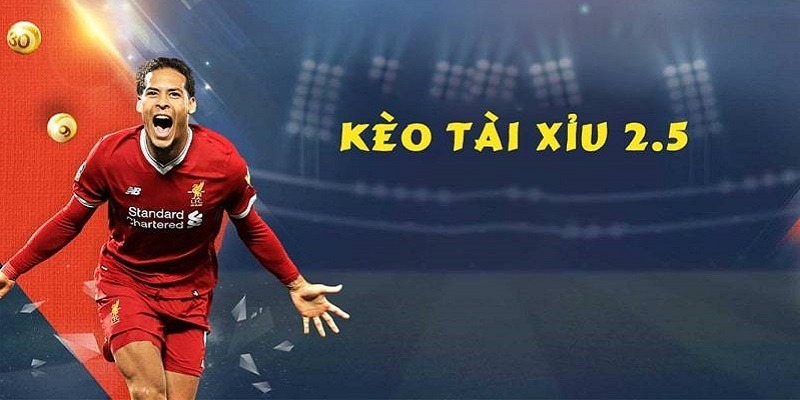 Tài Xỉu 2.5 Là Gì? Bí Kíp Bắt Kèo Chuẩn Xác Từ Chuyên Gia